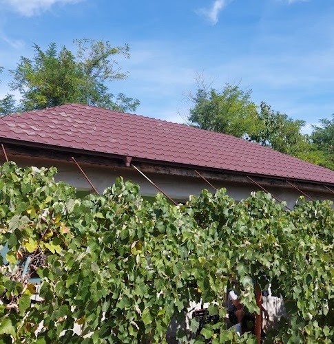 reparatii acoperis